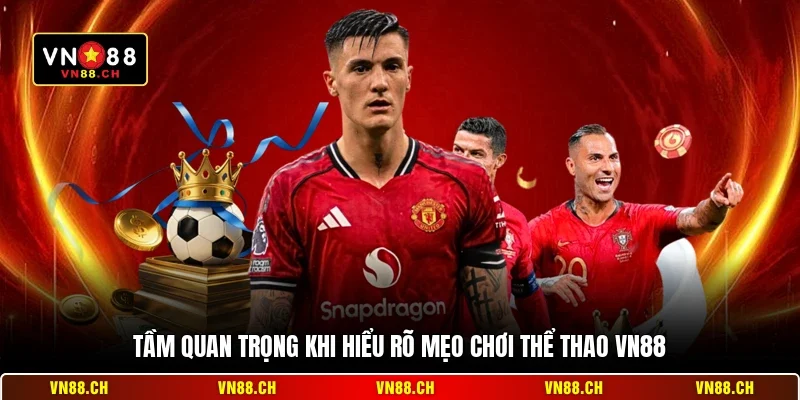 Tầm quan trọng khi hiểu rõ mẹo chơi thể thao VN88